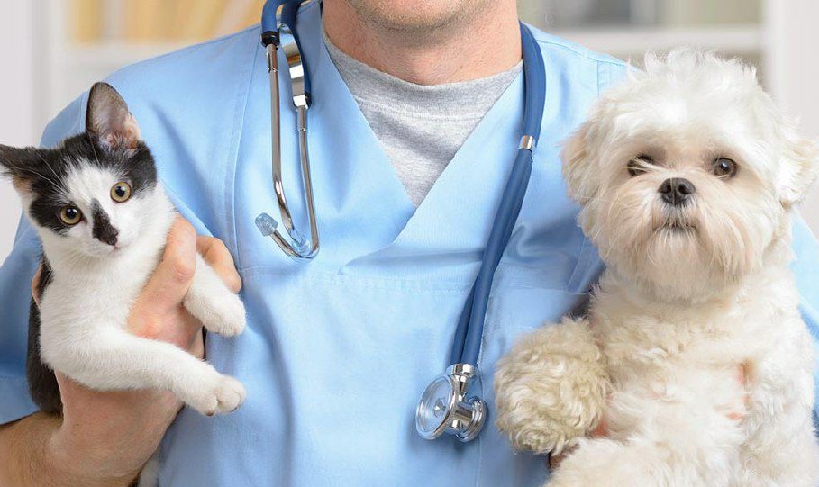 تیتر هاری اروپا